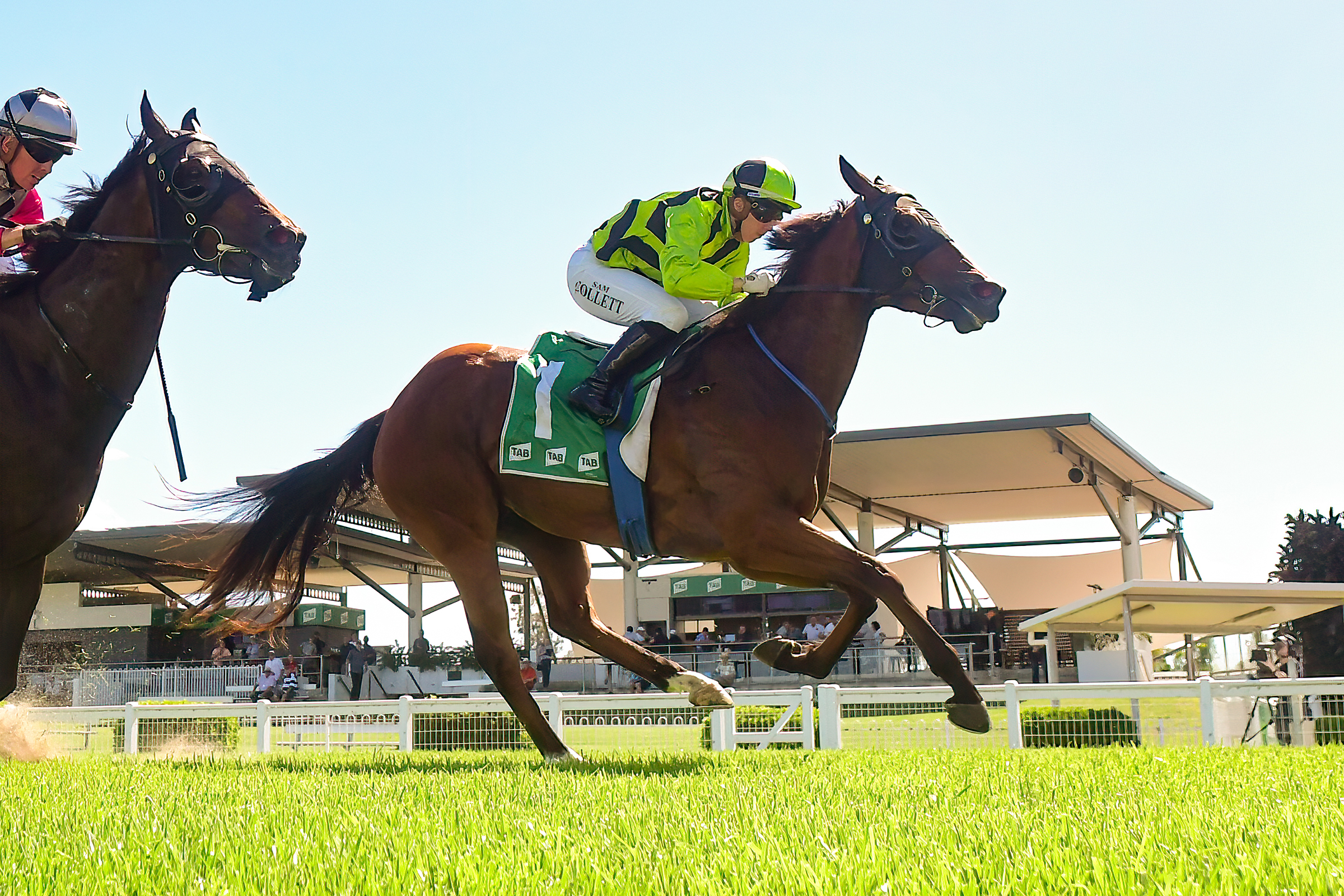 Ipswich Preview And Selections 3 November 2022