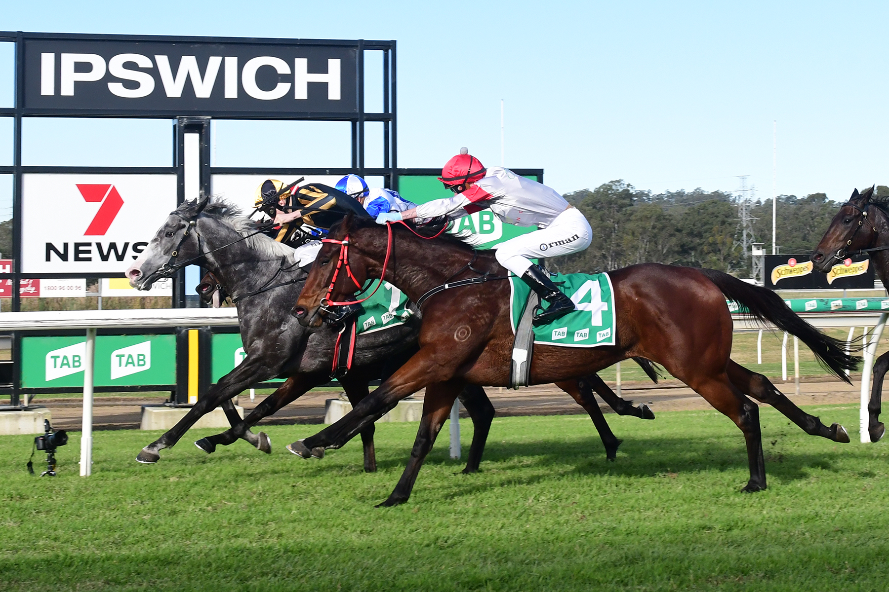 Ipswich Preview And Selections 5 October 2022