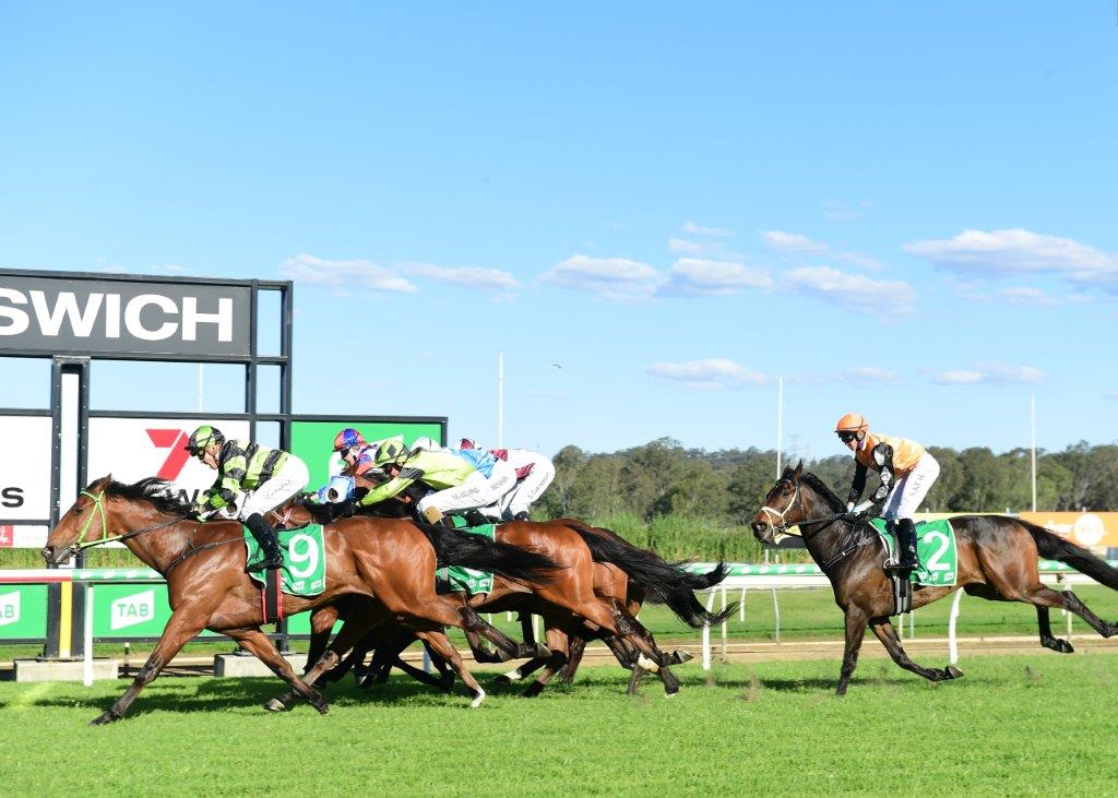 Ipswich Preview And Selections 9 November 2022