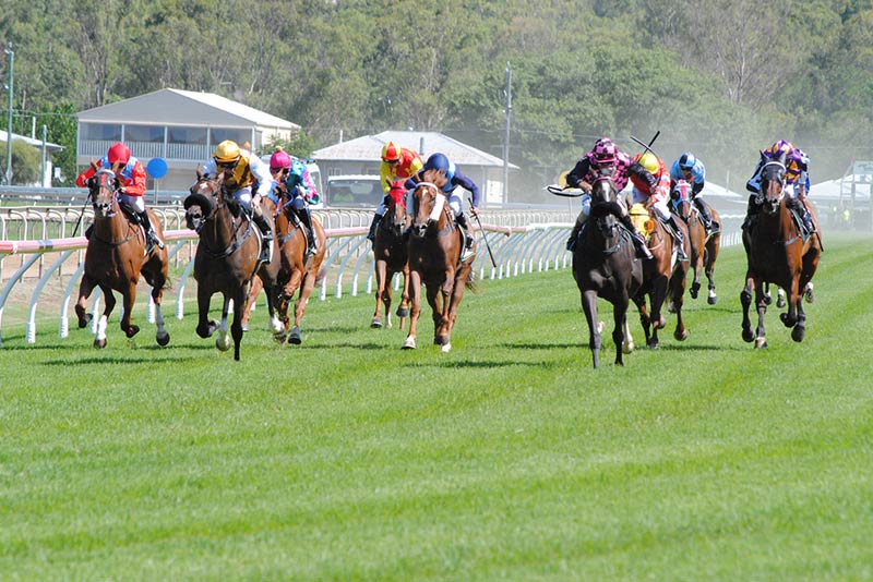 Ipswich Cup to mark 150th anniversary in 2016